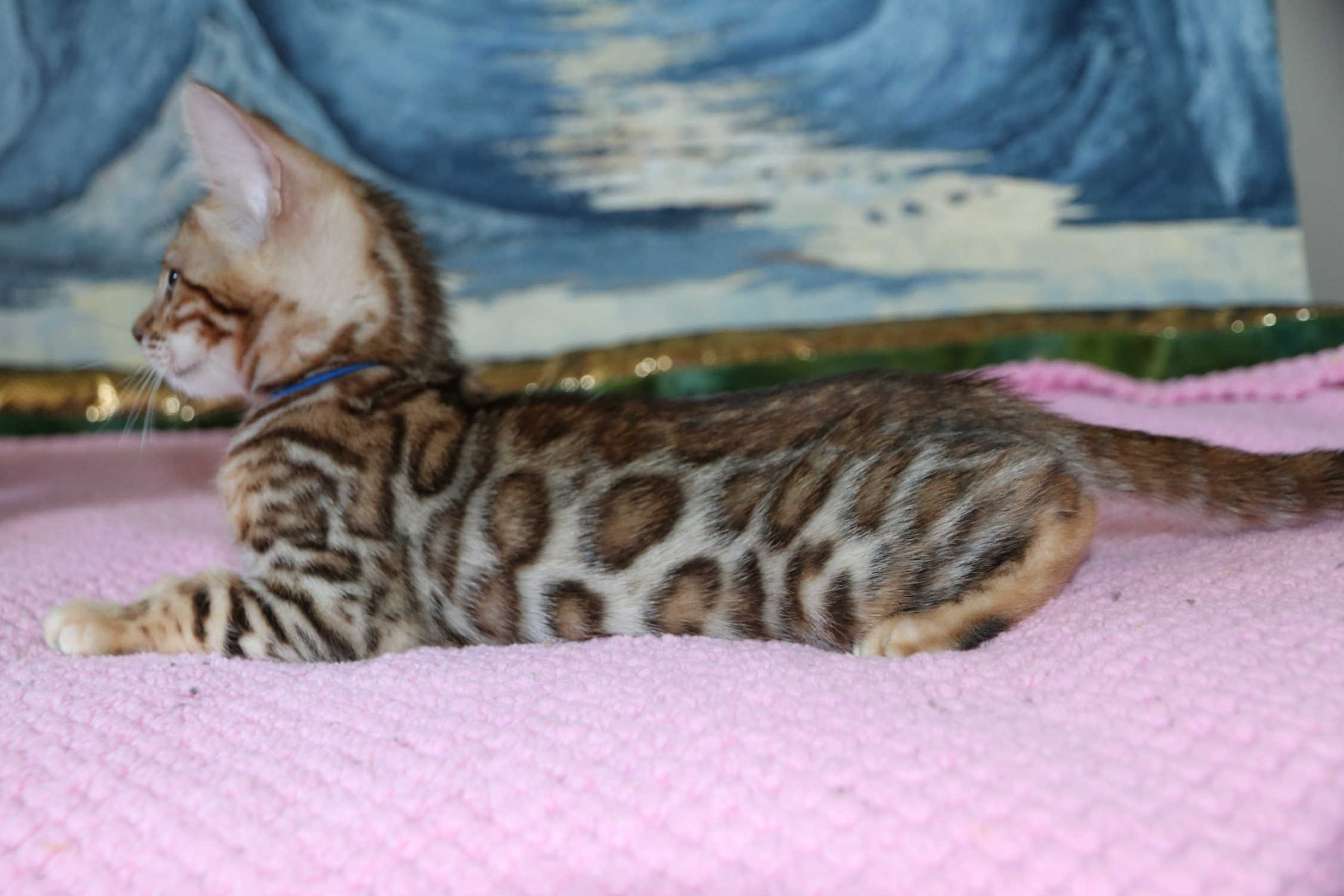 Another alt text