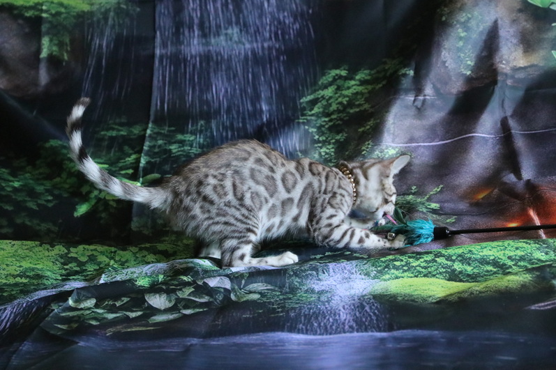Another alt text